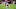 LA Rams roster Leonard Floyd LA Rams roster Leonard Floyd