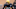 LA Rams Draft Rams Mock draft Tycen Anderson LA Rams Draft Rams Mock draft Tycen Anderson