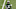 May 5, 2017; Florham Park, NJ, USA; New York Jets player Jamal Adams (33) during New York Jets mini rookie camp at Atlantic Health Training Center. Mandatory Credit: Noah K. Murray-USA TODAY Sports May 5, 2017; Florham Park, NJ, USA; New York Jets player Jamal Adams (33) during New York Jets mini rookie camp at Atlantic Health Training Center. Mandatory Credit: Noah K. Murray-USA TODAY Sports