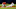 Tampa Bay Rays Tampa Bay Rays