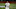 Tampa Bay Rays' Austin Meadows Tampa Bay Rays' Austin Meadows