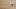 May 25, 2015; St. Louis, MO, USA; St. Louis Cardinals first baseman May 25, 2015; St. Louis, MO, USA; St. Louis Cardinals first baseman