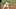 Oct 9, 2015; St. Louis, MO, USA; St. Louis Cardinals second baseman Oct 9, 2015; St. Louis, MO, USA; St. Louis Cardinals second baseman