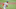 St. Louis Cardinals St. Louis Cardinals