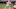 St. Louis Cardinals St. Louis Cardinals