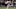 St. Louis Cardinals Alex Reyes St. Louis Cardinals Alex Reyes
