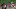 St. Louis Cardinals St. Louis Cardinals