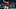 St. Louis Cardinals St. Louis Cardinals