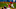 St. Louis Cardinals St. Louis Cardinals