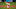 St. Louis Cardinals St. Louis Cardinals