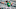 Detroit Tigers reliver Andrew Chafin Detroit Tigers reliver Andrew Chafin