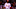 St. Louis Cardinals St. Louis Cardinals