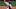 St. Louis Cardinals St. Louis Cardinals
