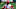 St. Louis Cardinals St. Louis Cardinals