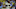 San Diego Padres Josh Bell San Diego Padres Josh Bell