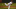 St. Louis Cardinals St. Louis Cardinals