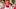 St. Louis Cardinals St. Louis Cardinals