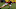 USC running back Dominic Davis during practice at Howard Jones Field. (Alicia de Artola/Reign of Troy)