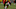 USC wide receiver Tyler Vaughns during practice at Howard Jones Field. (Alicia de Artola/Reign of Troy)