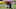 USC wide receiver Velus Jones during practice at Howard Jones Field. (Alicia de Artola/Reign of Troy)