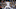 Milwaukee Brewers Milwaukee Brewers