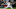 Milwaukee Brewers Milwaukee Brewers