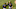 Brewers Brewers