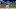 Brewers Brewers