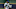 Brewers Brewers
