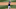 Brewers Brewers