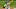Brewers Brewers