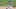 Mets Mets