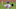 Mets Mets