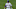 Mets Mets