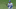 Mets Mets