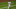 Mets Mets