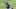 Mets