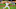 Mets