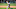 Mets