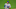 Mets Mets
