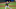 Mets Mets