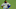 Mets Mets