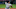 Mets Mets