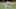 Mets Mets