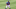 Mets Mets