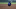 Mets
