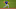 Mets Mets