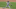 Mets Mets