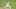Mets
