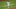 Mets Mets